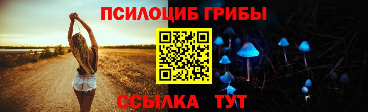Сосновоборск  Псилоцибиновые грибы MAGIC MUSHROOMS  Вход с VPN  Галлюциногенные грибы MAGIC MUSHROOMS 